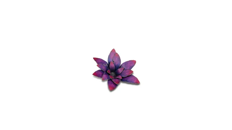 Laser Plants - Alien Rosette – Bild 6