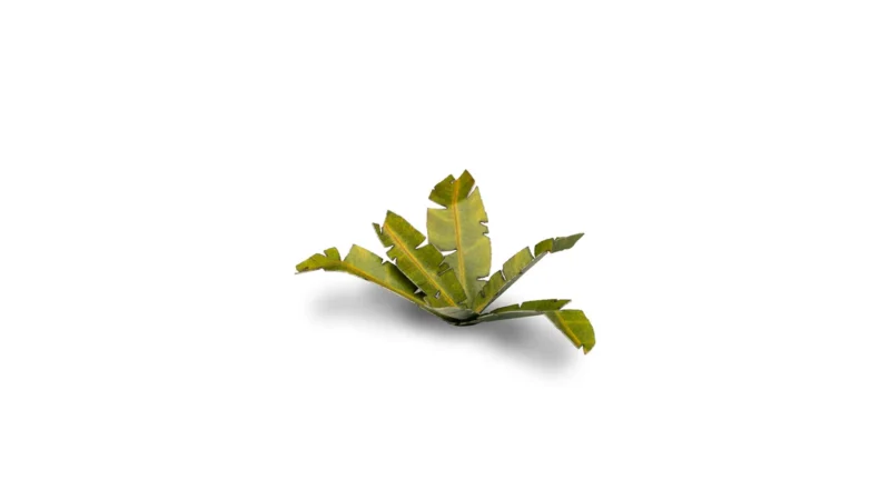 Laser Plants - Banana Tree – Bild 3