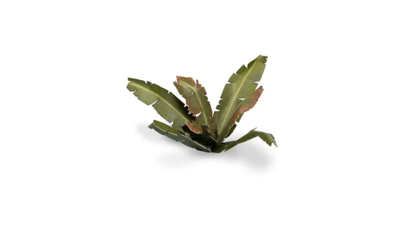 Laser Plants - Banana Tree – Bild 4