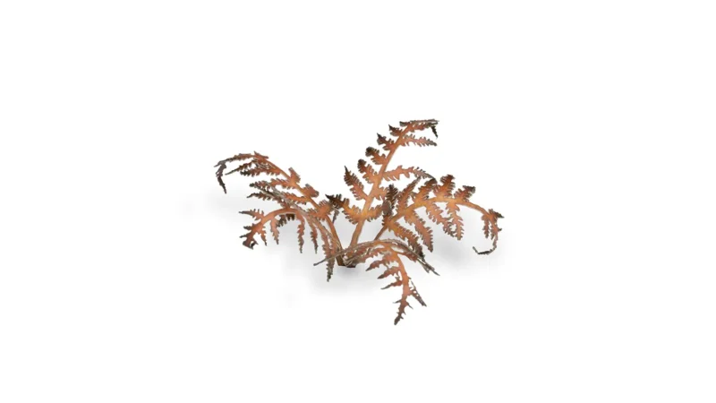 Laser Plants - Dry Bracken – Bild 4