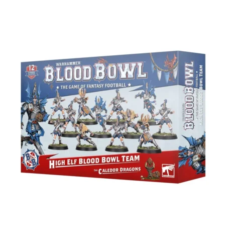 High Elf Blood Bowl Team