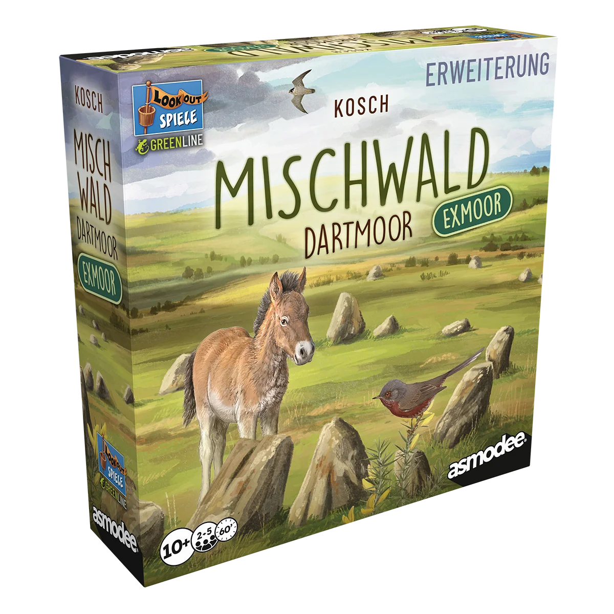Mischwald Dartmoor Exmoor