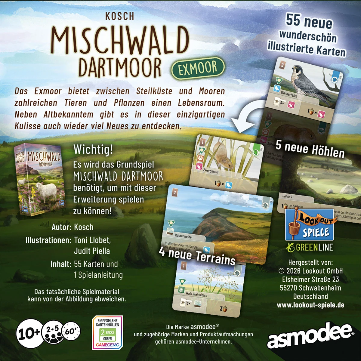 Mischwald Dartmoor Exmoor – Bild 2